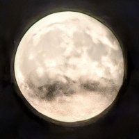 Chris (@thecrysel) 's Twitter Profile