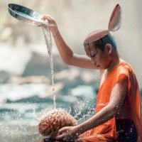 Adomeium (@adomeium) 's Twitter Profile