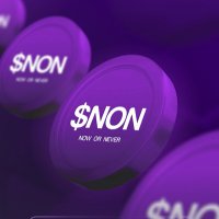 $NON : Now Or Never (@non_on_sol) 's Twitter Profile
