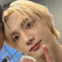 van 🦊 (@yeppitoast) 's Twitter Profile