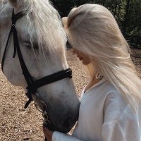 Nora (@tomazjefferson4) 's Twitter Profile