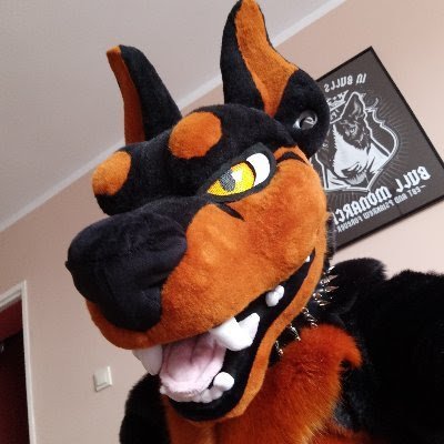 1987/Straight Furry Dobermann Dog/Working class