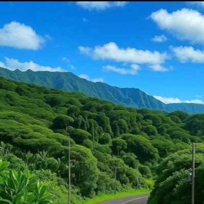 Fm6484's profile picture. 