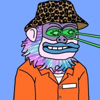 Maddy (@cryptonite_me) 's Twitter Profile