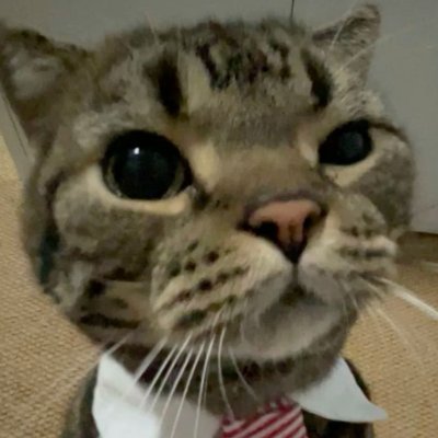 vikastiic's profile picture.