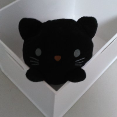 my842751963MY's profile picture. 趣味：川柳、洋楽、ヨーロッパの歴史・サッカー