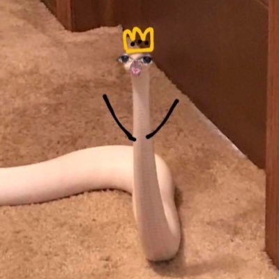 Mrsfrundles's profile picture. 