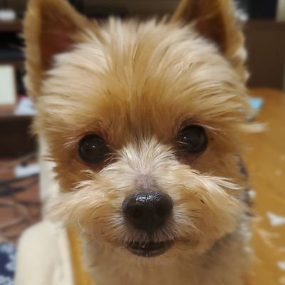 通信キャリア系IT開発部長やってます👩💻
自己紹介は固定ツイにて。
東京暮らし× 回復の学び×組織づくり×
仕事術を等身大で発信✍️
フォロー歓迎・無言OK。
