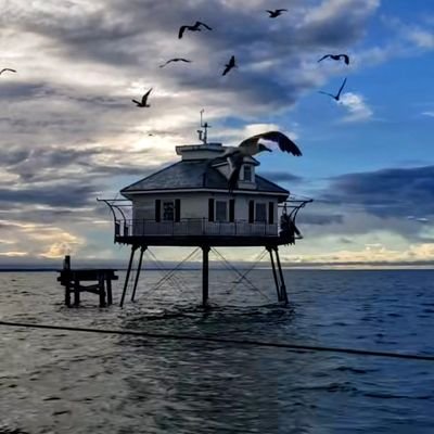 JB251119's profile picture. 