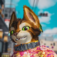 Sunset Gato (@gatosunset) 's Twitter Profile Photo Sunset Gato (@gatosunset) 's Twitter Profile Photo