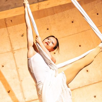 sumirekotsukui's profile picture. 🦋Aerial performance🦋Vocal | https://t.co/s3SxOFUJ10 舞台から宙へ歌い踊ります