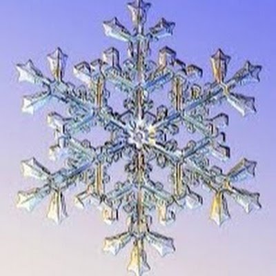 KylerBoyd171773's profile picture. 