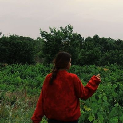 Maryam_Echo's profile picture. آن ها دروغ می‌گویند ؛ 🚬