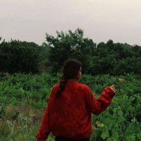 ‌‌‏𝐌𝐚𝐫𝐲𝐚𝐦 (@maryam_echo) 's Twitter Profile