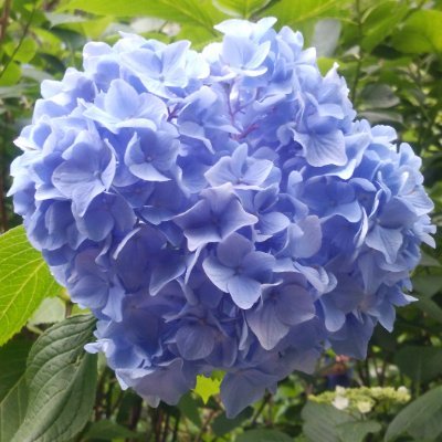 もみさんのプロフィール画像