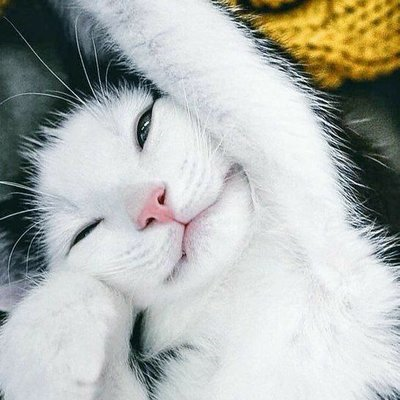 __dayNoLove_rsh's profile picture. け ぬ れ ぎ ク ソ ラ せ な ま ざ コ ナ ル