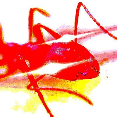 Just a fire ant that say based stuff.
Major Ace Combat fan
Born again Christian ✝️