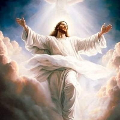 iguane2025's profile picture. 