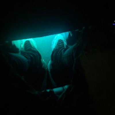 f537298_f's profile picture. 