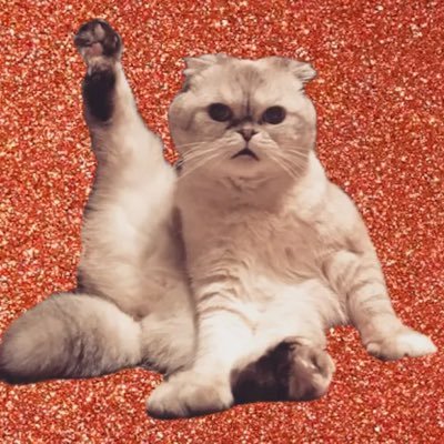 larmesdesaphir's profile picture. •22•she/they•tortured poet•