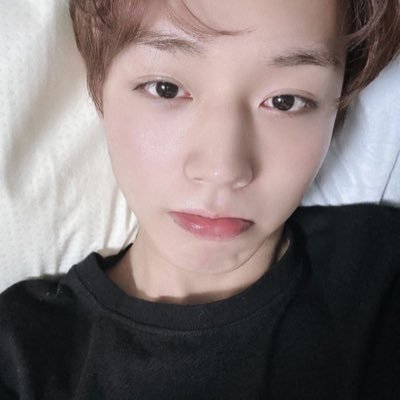 marijihoon's profile picture. jihoon bonedo e svt amo vcs