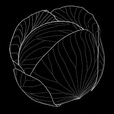 CabbagesCC's profile picture. I like to make images of cabbage. Usually in space.