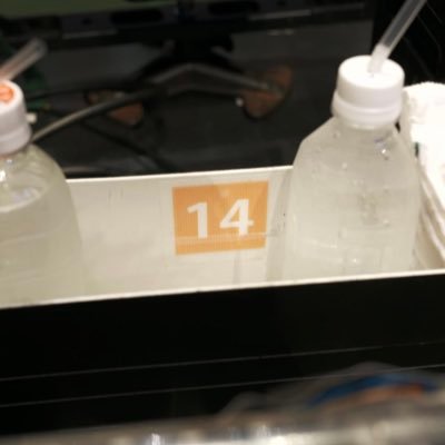 sho_mi_29's profile picture. 