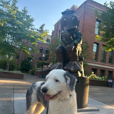 HUGE FAN of the Oregon Ducks! #OES #GoDucks #MaxwellSilverHammer RIP MAXWELL! 🦆💚💛🐾🕊️