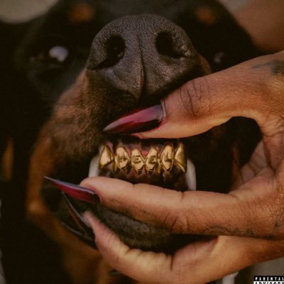 DonW1989's profile picture. 