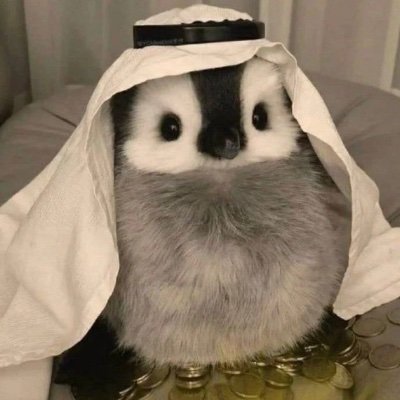 @xdpossible