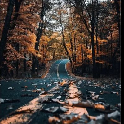 Raamaa3020's profile picture. 