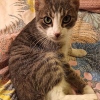 Margie Oechs ✡️ (@margieoechs) 's Twitter Profile Photo Margie Oechs ✡️ (@margieoechs) 's Twitter Profile Photo