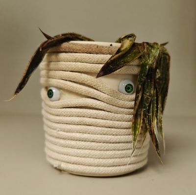 alteredlikeness's profile picture. reflecting on Indra's net