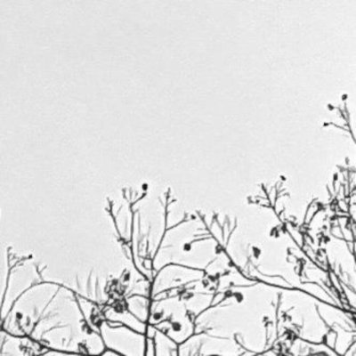 12_berne's profile picture. it's frightening