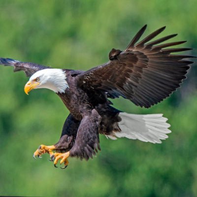 United States of Africa