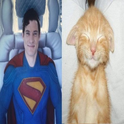 kuichigoo's profile picture. avid scrobbler, number 1 law fan