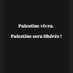 🇵🇸 compte numéro 2 (@comptemarwa) Twitter profile photo 🇵🇸 compte numéro 2 (@comptemarwa) Twitter profile photo