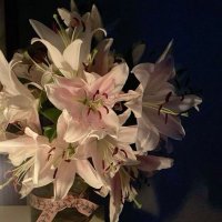 wow (@ipi5oii) 's Twitter Profile