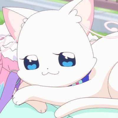 辻野かなみさんしか勝たん🐈🩵