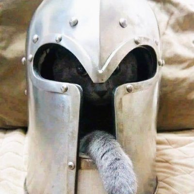 Lief_SR's profile picture. Abogado y Notario. Anti-lenguaje inclusivo, Anti-ideologia de Genero.
Orgulloso Herero-Patriarcal