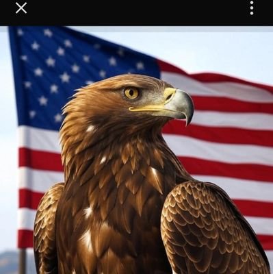 God Bless América. Donald Trump Best Republican President Ever.
Law and Order.MAGA.
I'm a single man.
The Childrens are the Future.
Family,Work,Faith,Patriot.