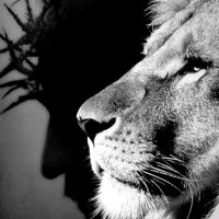 Dr. Regenerado (@docregenerado) 's Twitter Profile