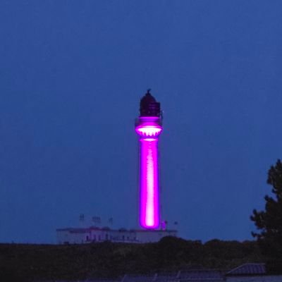 traycetrayce's profile picture. 