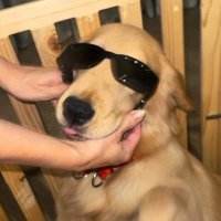 RinChpp (@rindach04) 's Twitter Profile