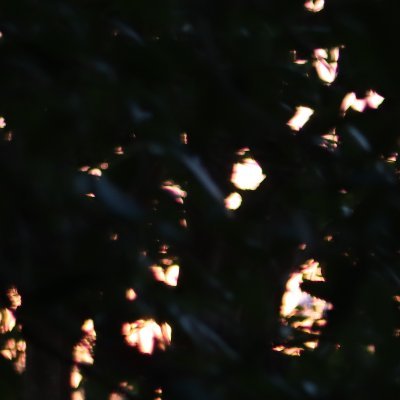 AdrianL18858's profile picture. 