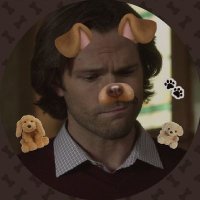 puppynatural 🐾 (@sammypuppyz) 's Twitter Profile