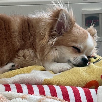 unjSwueGgW85324's profile picture. 