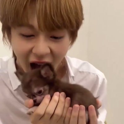 xel_pdf's profile picture. for my divas @cwrnew @ohmkrit @jj_rcp