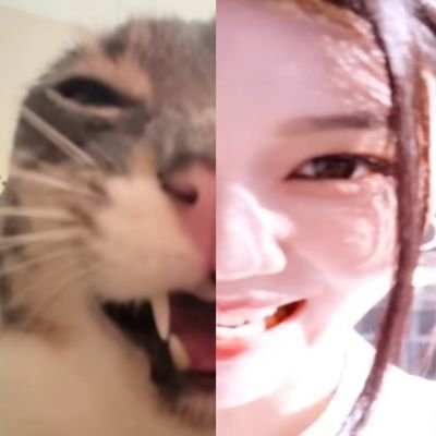 reebam Profile