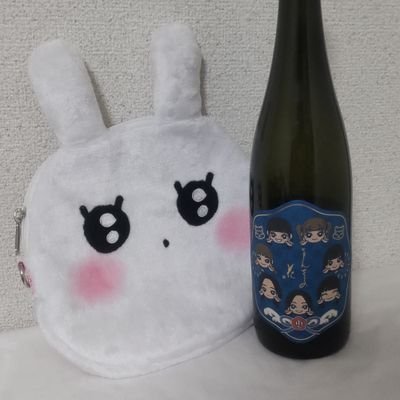 いぎなり東北産
たまに飛行機